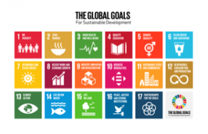 the-global-goals-grid-color